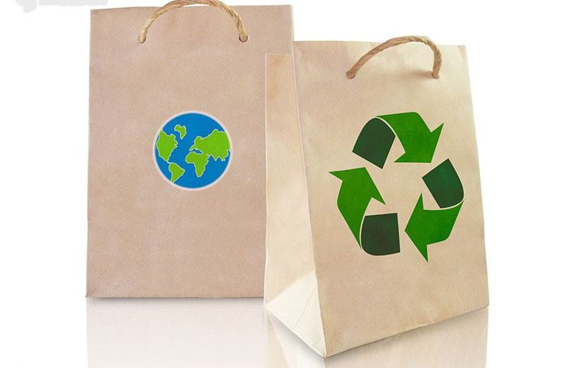 T&uacute;i giấy bảo vệ m&ocirc;i trường một giải ph&aacute;p th&acirc;n thiện với con người &raquo; In Đồng  Lợi