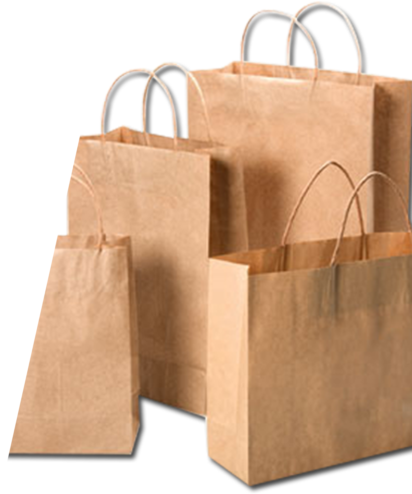 PAPER BAGS PRODUCTS