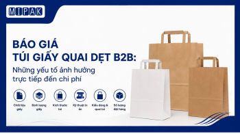 Báo giá túi giấy quai dẹt B2B: 5 Yếu tố quyết định đến chi phí sản xuất